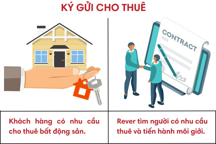 Vai Trò và Tầm Quan Trọng Của Môi Giới Nhà Đất Gia Kiệm Trong Thị Trường Bất Động Sản